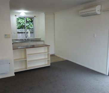 Cosy One Bedroom Flat in Merivale - Photo 5