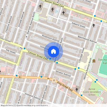 43 Barnesdale Avenue, Hamilton