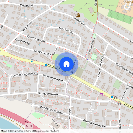 Zürcherstrasse 2, 8103, Unterengstringen