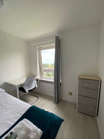 1 Bed Flat, Viewcraig Gardens, EH8 - Photo 5