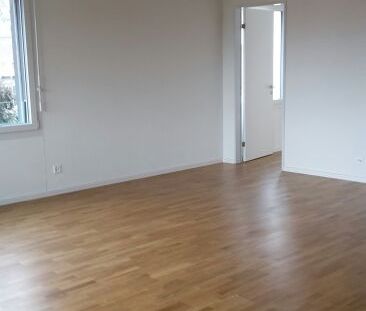 Rexmax - attrayant à tous points de vue - Photo 1