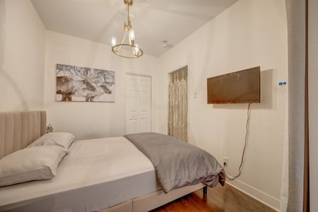 Appartement à louer - Montréal (Le Plateau-Mont-Royal) (Le Plateau-Mont-Royal) - Photo 4