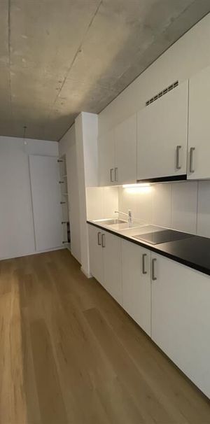 Apartment,1,25 - Photo 1