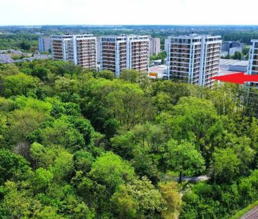 Dębiec, RED PARK, przytulne mieszk. 2-pok.+ garaż 41.71 m² - Photo 2