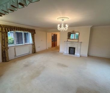 Brandon, Sedge fen - Photo 1