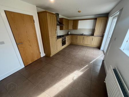 4 Ayrshire Lodge, Lisburn, BT28 2YZ - Photo 3