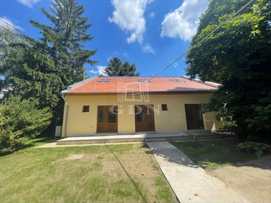 Kiadó felújított lakás - Szeged - Fotó 1