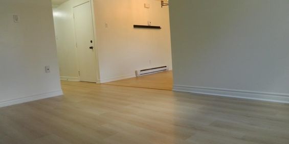 4 ½ Rénové - Secteur Paisible - Photo 3