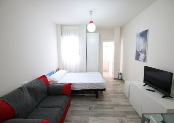 Studio - Granada (San Ildefonso)