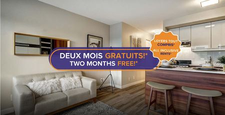 Plateau Mont-Royal - Photo 5