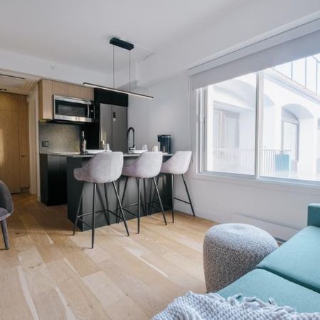 Loft entièrement meublé à louer Saint-Jean-Baptiste juillet 2026 - Photo 3