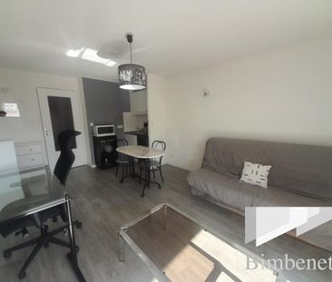 Appartement à louer, 1 pièce - Olivet 45160 - Photo 3