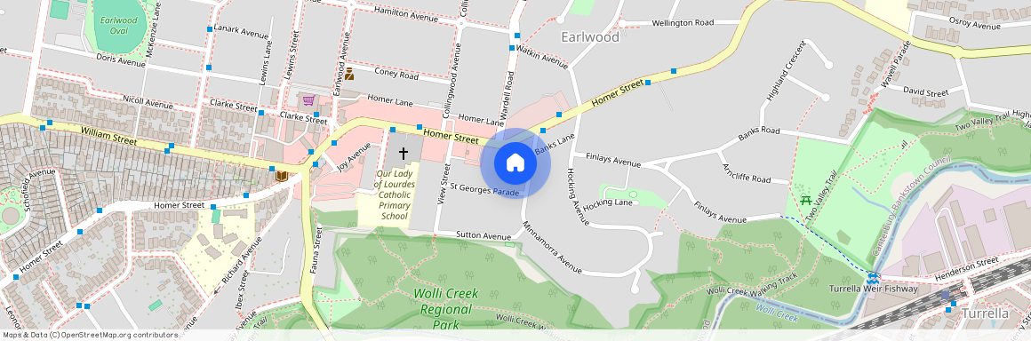 106 Minnamorra Avenue, Earlwood 2206, New South Wales