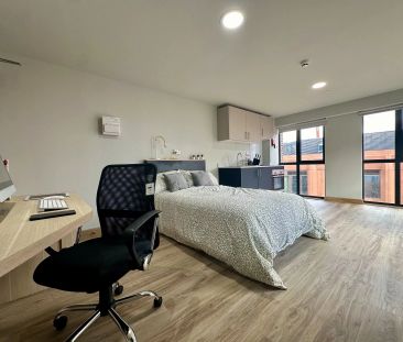 Sequoia Studio - Photo 6