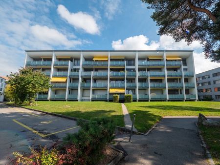 1.5 Zimmerwohnung in Düdingen zu vermieten! - Photo 2