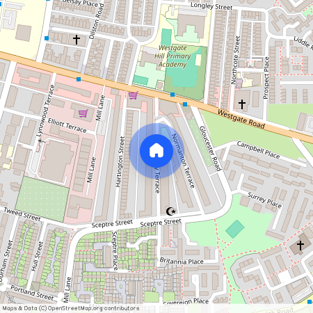 Kingsley Terrace, Fenham, NE4
