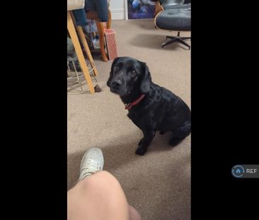 1 bedroom in a flat share to rent - Photo 2