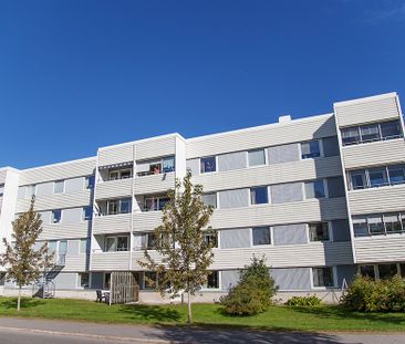 Hamnplan 2 A, 94161, Piteå - Photo 3