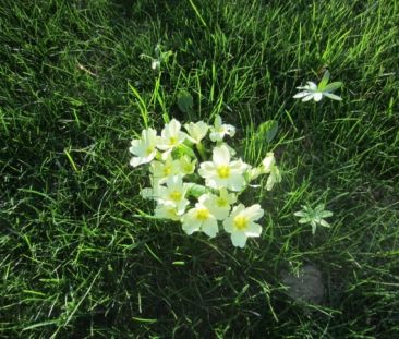 Verbringen Sie den nächsten Sommer in Ihrem Garten in diesem Traumh... - Photo 5