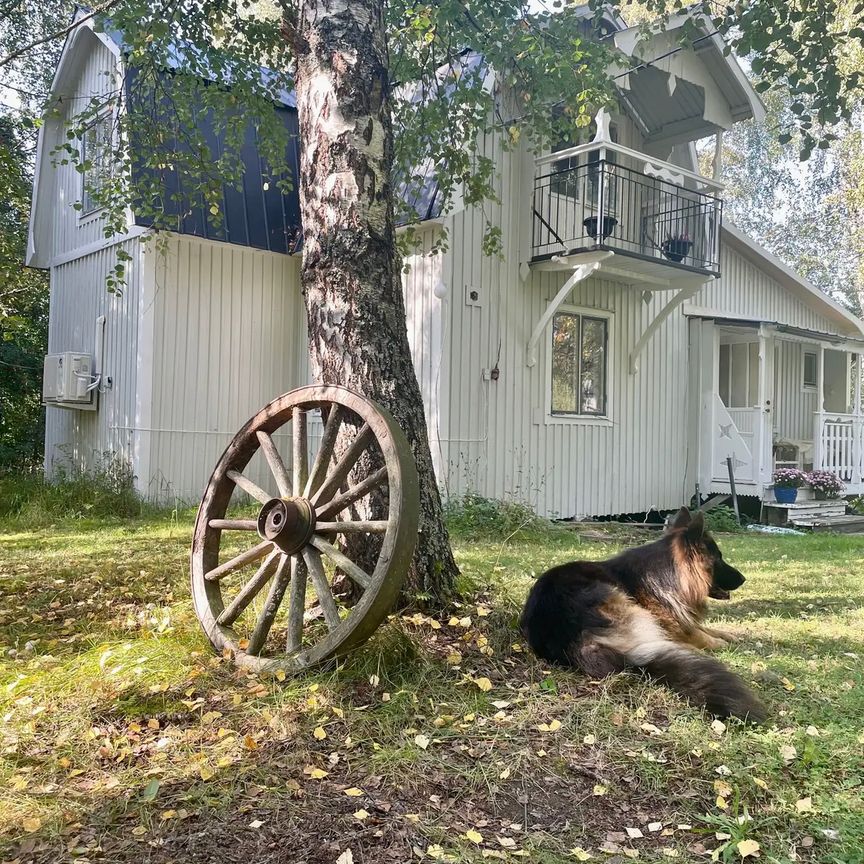 Flugtjärnsvägen, Sollefteå - Photo 1