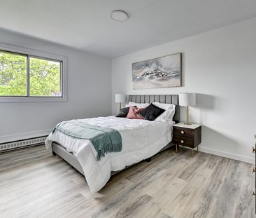 6965 Rue De Choisy, Montréal, QC - Photo 5
