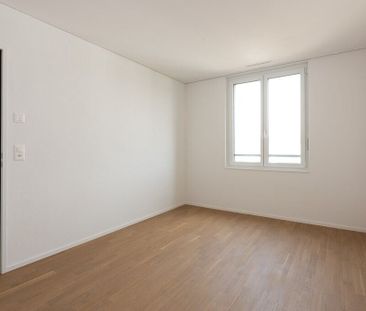 IN THE OAK FIELD – my Jona, my home - Photo 4