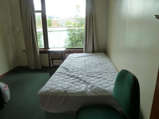 3 BEDROOM HOUSE near CAMPUS FOR 2025 - Photo 1
