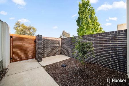 31/2 Rouseabout Street, Lawson ACT 2617 - Townhouse For Rent | Domain - Photo 4