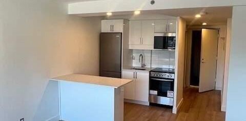 1 CH - 1 SDB - Montréal - $1,400 /mo - Photo 2