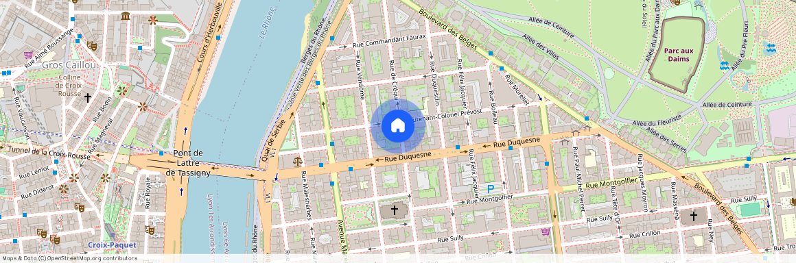 38 RUE DE CREQUI, LYON 6EME ARRONDISSEMENT l'Helvetie