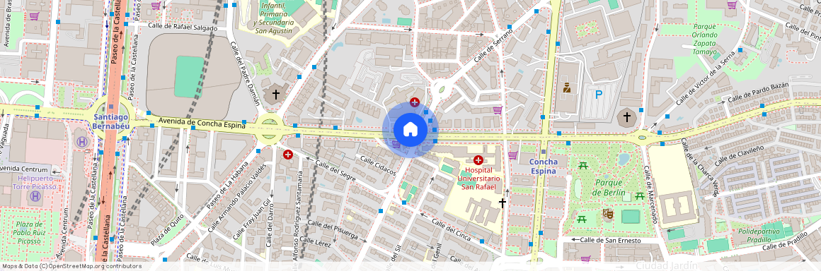 Avenida de Concha Espina, Madrid, Community of Madrid 28016