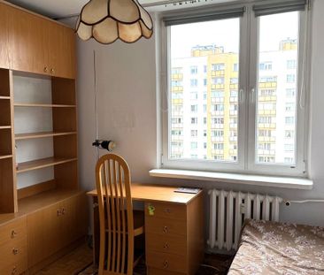 Warszawa, Praga-Południe, Gocławek, Ostrobramska - Photo 5
