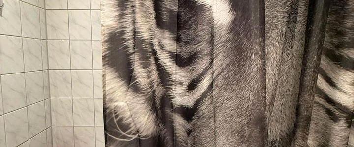 Nachmieter gesucht. ab 01.03.26 - Photo 1