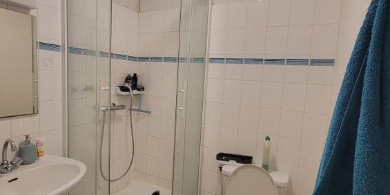 Location Appartement 1 pièce 17m² BREST 29200 - Photo 3