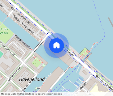 Appartement te huur: Bert Haanstrakade 704 1087 HJ Amsterdam - Photo 1