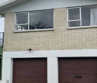 Three Bedroom Home with Large Section - Photo 1