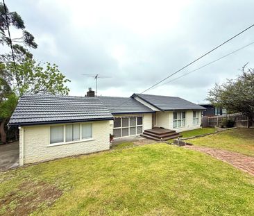 A walk in the park - Photo 4