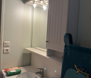 Location Appartement 1 pièce 25m² ORLEANS 45100 - Photo 5