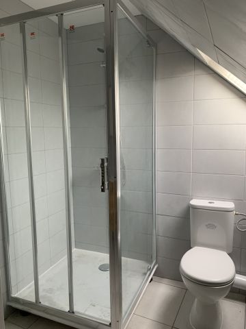 Location Appartement 4 pièces 60m² SARREGUEMINES 57200 - Photo 3