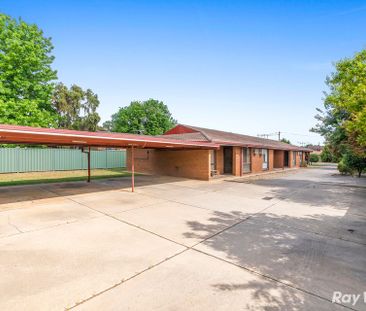 Charming & Convenient 2 Bedroom Unit - Photo 6