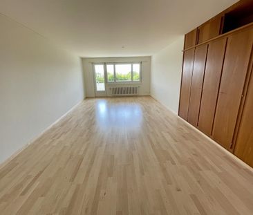 Schöne 3.5-Zimmerwohnung in Meisterschwanden - Photo 1