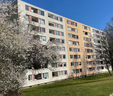 Gemütliche 3-Zimmer-Etagenwohnung mit Balkon in Wolfsburg - Photo 4