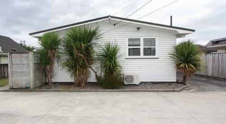 Walk to Waikato & Braemar Hospitals - Photo 4