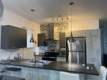 Appartement à louer - Longueuil (Saint-Hubert) (Laflèche) Appartement à louer - Longueuil (Saint-Hubert) (Laflèche) - Photo 2