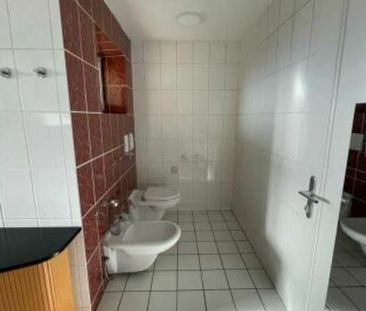 Wohnung - Miete in 8350 Hohenbrugg an der Raab - Foto 1