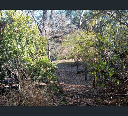 9 View Road, Blackwood, SA 5051 - Photo 5