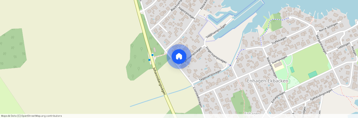Fingersvampsvägen, Västerås