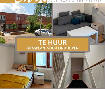 Grasplantsoen, Eindhoven, Nederland - Foto 6