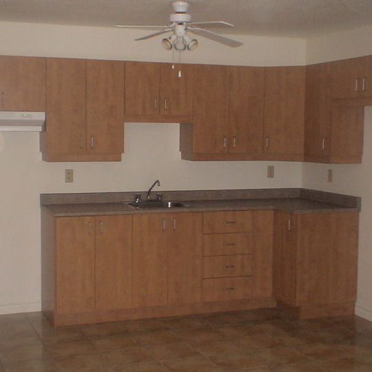 APPARTEMENT 4 ½ À LOUER - Photo 1