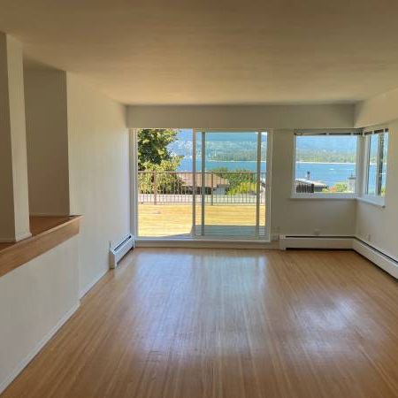 2 BEDROOM NEWLY RENO'D PENTHOUSE STUNNING OCEAN VIEW IN KITSILANO - Photo 4